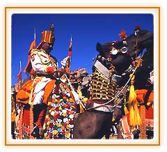 Pushkar Fair, Pushkar Tourism