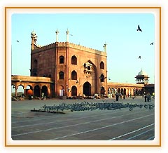 Jama Masjid, Delhi Tourism